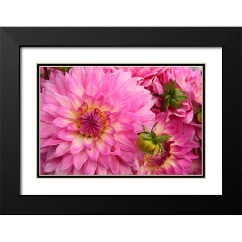 Spring Garden II Black Modern Wood Framed Art Print with Double Matting by Love, Maureen