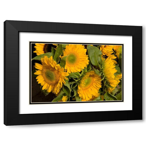 Sunflower I Black Modern Wood Framed Art Print with Double Matting by Love, Maureen