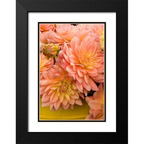 Peach Dalhia IV Black Modern Wood Framed Art Print with Double Matting by Love, Maureen