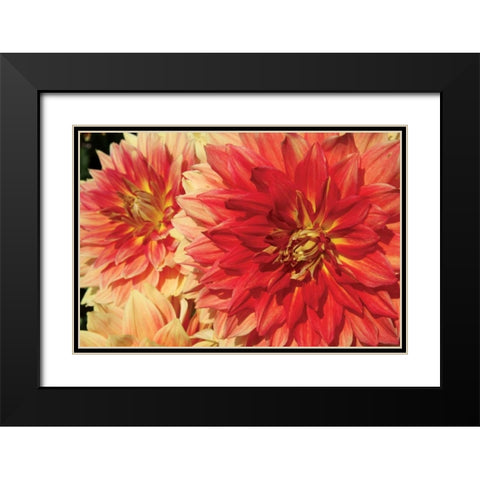 Hot Sun I Black Modern Wood Framed Art Print with Double Matting by Love, Maureen