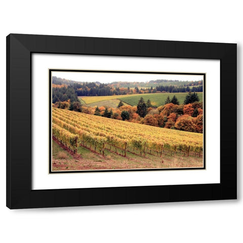 Fall in Wine Country I Black Modern Wood Framed Art Print with Double Matting by Love, Maureen