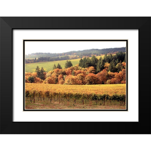 Fall in Wine Country I Black Modern Wood Framed Art Print with Double Matting by Love, Maureen