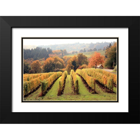 Bella Vida I Black Modern Wood Framed Art Print with Double Matting by Love, Maureen