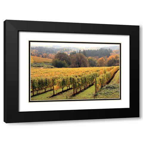 Bella Vida II Black Modern Wood Framed Art Print with Double Matting by Love, Maureen