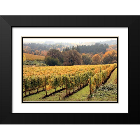 Bella Vida II Black Modern Wood Framed Art Print with Double Matting by Love, Maureen