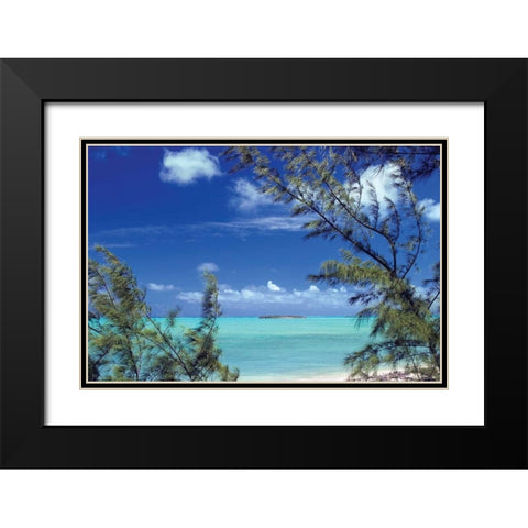 Pelican Cay Black Modern Wood Framed Art Print with Double Matting by Malvin, Larry