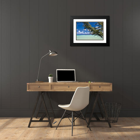 Sandbar Pelican Cay Black Modern Wood Framed Art Print with Double Matting by Malvin, Larry