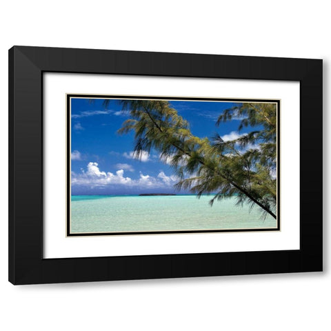 Sandbar Pelican Cay Black Modern Wood Framed Art Print with Double Matting by Malvin, Larry