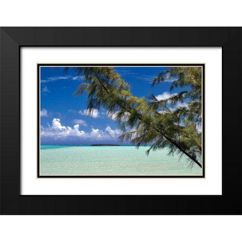 Sandbar Pelican Cay Black Modern Wood Framed Art Print with Double Matting by Malvin, Larry
