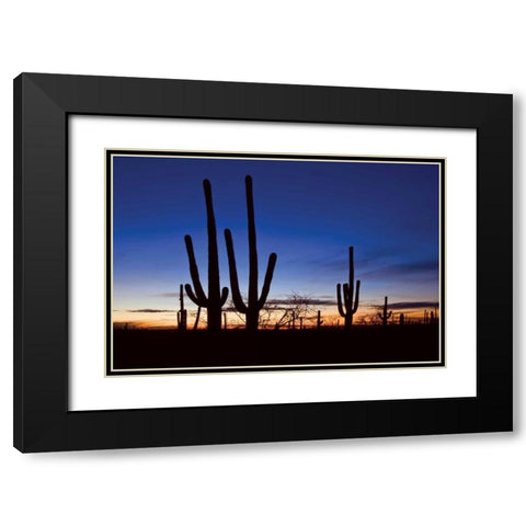 Classic Saguaro Sunset II Black Modern Wood Framed Art Print with Double Matting by Malvin, Larry