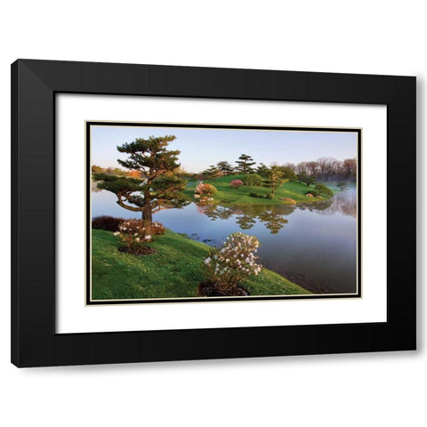 Botanic Dawn II Black Modern Wood Framed Art Print with Double Matting by Malvin, Larry