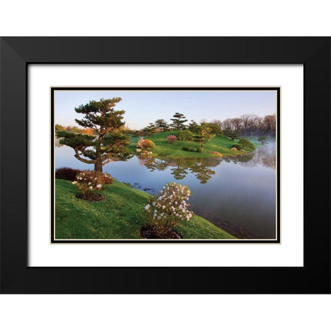 Botanic Dawn II Black Modern Wood Framed Art Print with Double Matting by Malvin, Larry