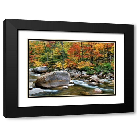 Swift River Pass Scenic Black Modern Wood Framed Art Print with Double Matting by Malvin, Larry