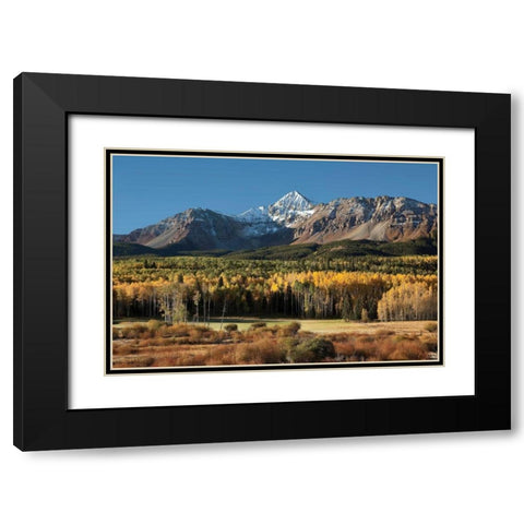 Wilson Peak Yellow Aspens Black Modern Wood Framed Art Print with Double Matting by Malvin, Larry