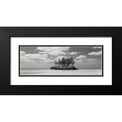 Gaulding Cay Conch BW Panel Black Modern Wood Framed Art Print with Double Matting by Malvin, Larry
