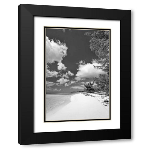 Deep Creek Tree BW Black Modern Wood Framed Art Print with Double Matting by Malvin, Larry