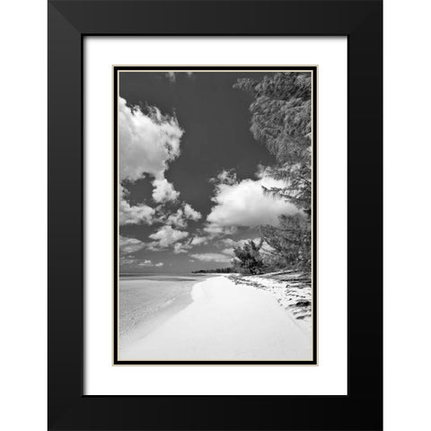 Deep Creek Tree BW Black Modern Wood Framed Art Print with Double Matting by Malvin, Larry