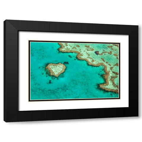Great Barrier Reef II Black Modern Wood Framed Art Print with Double Matting by Malvin, Larry