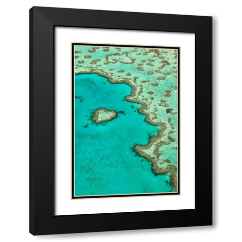 Heart Reef II Black Modern Wood Framed Art Print with Double Matting by Malvin, Larry