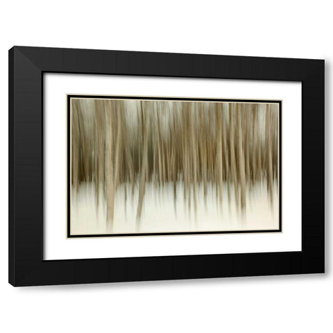 Birch Blur II Black Modern Wood Framed Art Print with Double Matting by Malvin, Larry