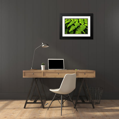 Fern Patterns Black Modern Wood Framed Art Print with Double Matting by Malvin, Larry
