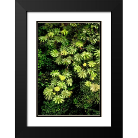 Cloud Forest Foliage II Black Modern Wood Framed Art Print with Double Matting by Malvin, Larry