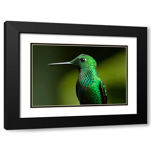 Steely Vented Black Modern Wood Framed Art Print with Double Matting by Malvin, Larry