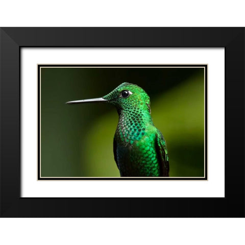 Steely Vented Black Modern Wood Framed Art Print with Double Matting by Malvin, Larry