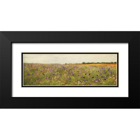 Wildflower Field I Black Modern Wood Framed Art Print with Double Matting by Melious, Amy