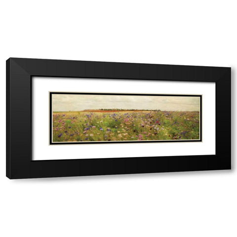 Wildflower Field II Black Modern Wood Framed Art Print with Double Matting by Melious, Amy