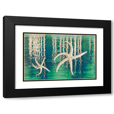 Starfish on Water I Black Modern Wood Framed Art Print with Double Matting by Mahan, Kathy