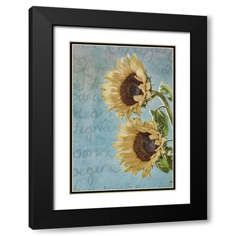 Sunflowers II Black Modern Wood Framed Art Print with Double Matting by Mahan, Kathy