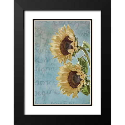 Sunflowers II Black Modern Wood Framed Art Print with Double Matting by Mahan, Kathy