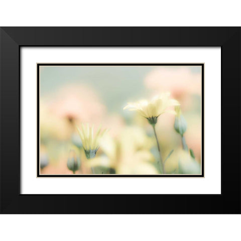 Desert Flowers I Black Modern Wood Framed Art Print with Double Matting by Mahan, Kathy