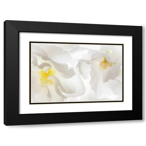 Cherry Blossoms II Black Modern Wood Framed Art Print with Double Matting by Mahan, Kathy