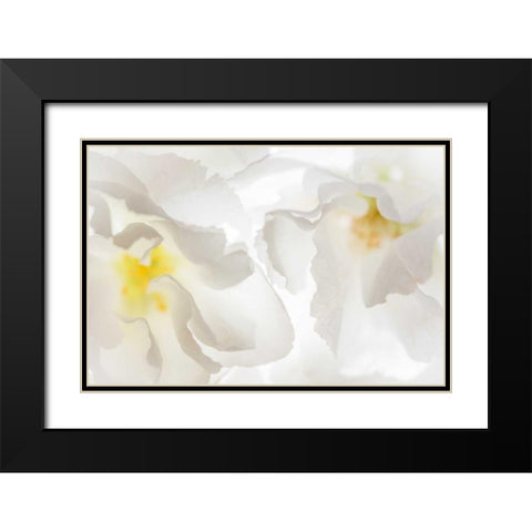 Cherry Blossoms II Black Modern Wood Framed Art Print with Double Matting by Mahan, Kathy