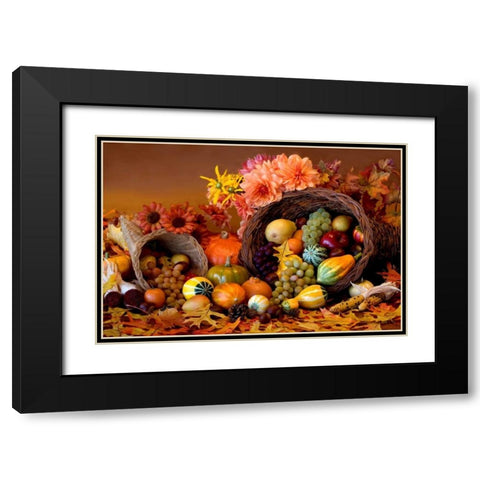 Cornucopia II Black Modern Wood Framed Art Print with Double Matting by Mahan, Kathy