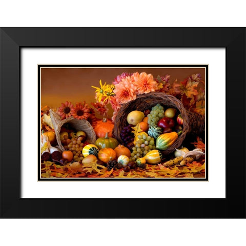 Cornucopia II Black Modern Wood Framed Art Print with Double Matting by Mahan, Kathy