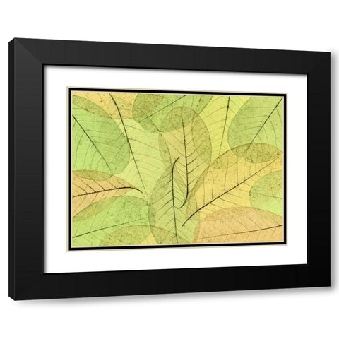 Leaf Collage I Black Modern Wood Framed Art Print with Double Matting by Mahan, Kathy