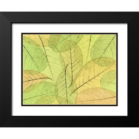Leaf Collage I Black Modern Wood Framed Art Print with Double Matting by Mahan, Kathy