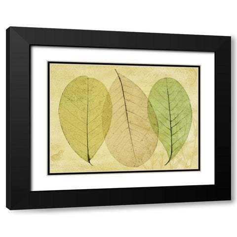 Leaf Collage II Black Modern Wood Framed Art Print with Double Matting by Mahan, Kathy