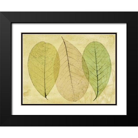 Leaf Collage II Black Modern Wood Framed Art Print with Double Matting by Mahan, Kathy