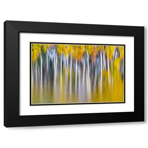 Reflections of Fall II Black Modern Wood Framed Art Print with Double Matting by Mahan, Kathy