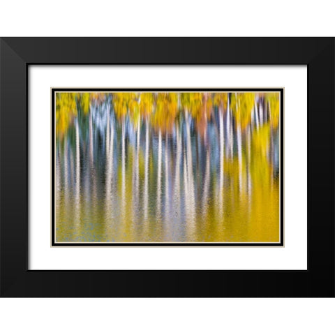 Reflections of Fall II Black Modern Wood Framed Art Print with Double Matting by Mahan, Kathy