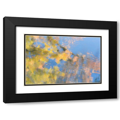 Tree Reflections II Black Modern Wood Framed Art Print with Double Matting by Mahan, Kathy