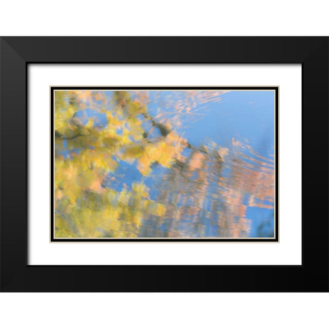 Tree Reflections II Black Modern Wood Framed Art Print with Double Matting by Mahan, Kathy