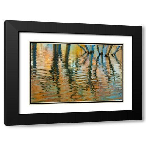 Lake Powell Reflections I Black Modern Wood Framed Art Print with Double Matting by Mahan, Kathy