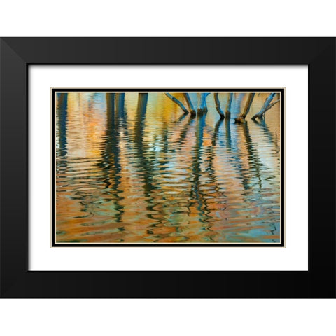 Lake Powell Reflections I Black Modern Wood Framed Art Print with Double Matting by Mahan, Kathy