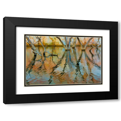 Lake Powell Reflections II Black Modern Wood Framed Art Print with Double Matting by Mahan, Kathy