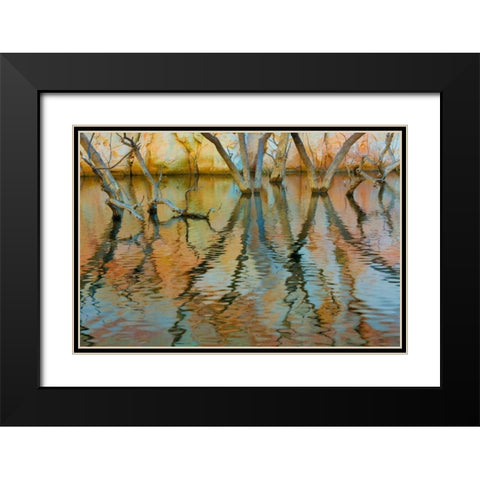 Lake Powell Reflections II Black Modern Wood Framed Art Print with Double Matting by Mahan, Kathy
